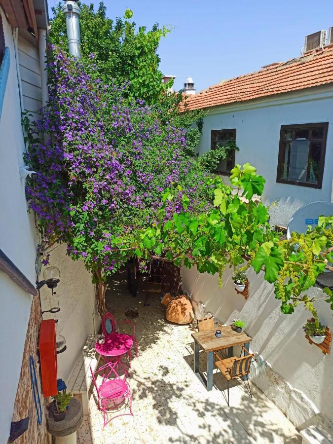Olea Sigacik Pansiyon & Bistro 塞费里希萨尔 外观 照片