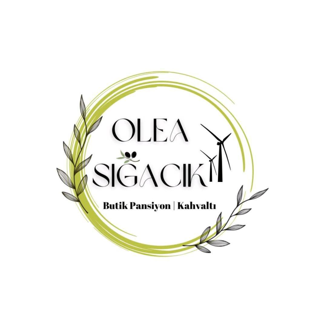 Olea Sigacik Pansiyon & Bistro 塞费里希萨尔 外观 照片
