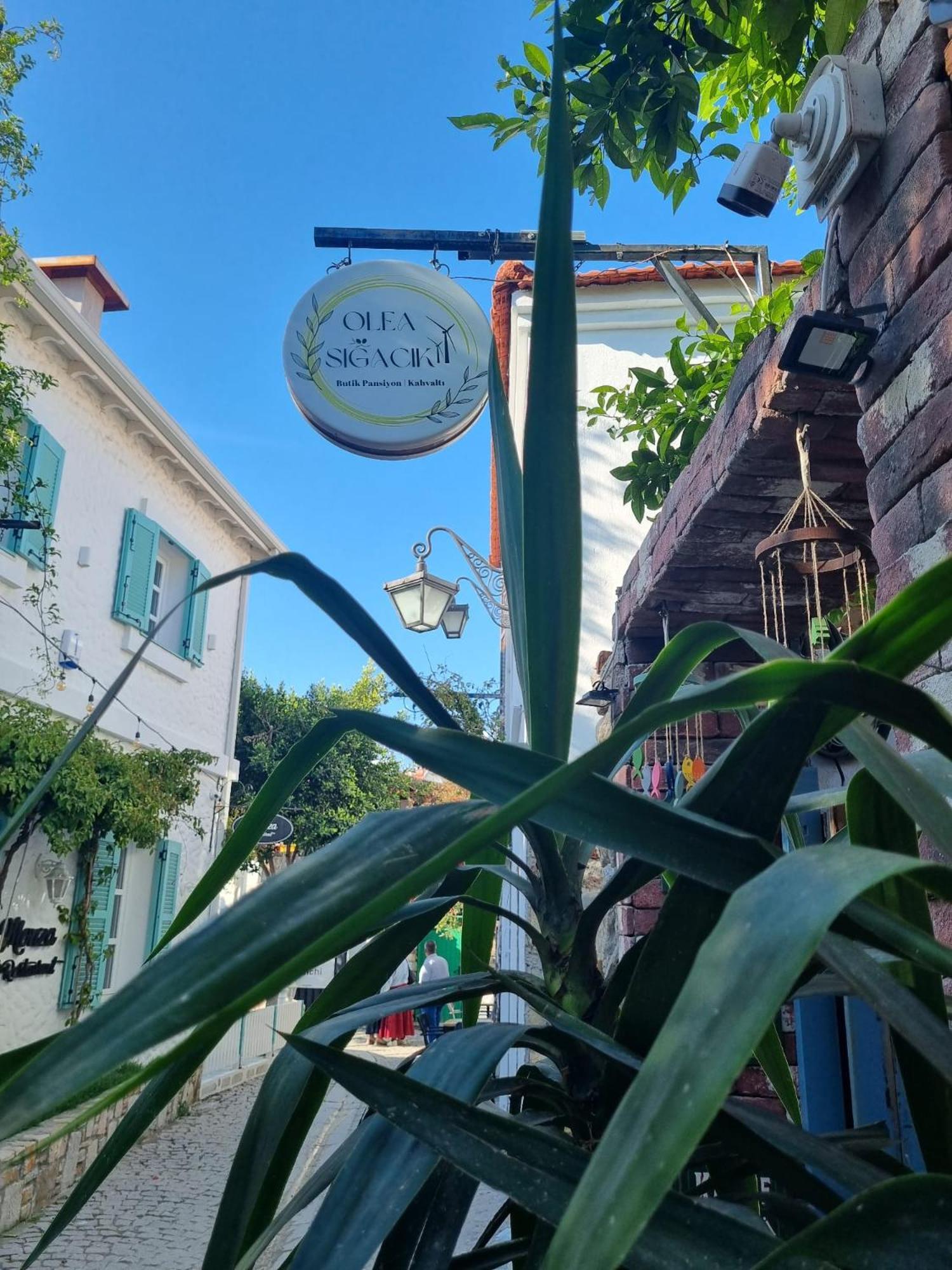 Olea Sigacik Pansiyon & Bistro 塞费里希萨尔 外观 照片