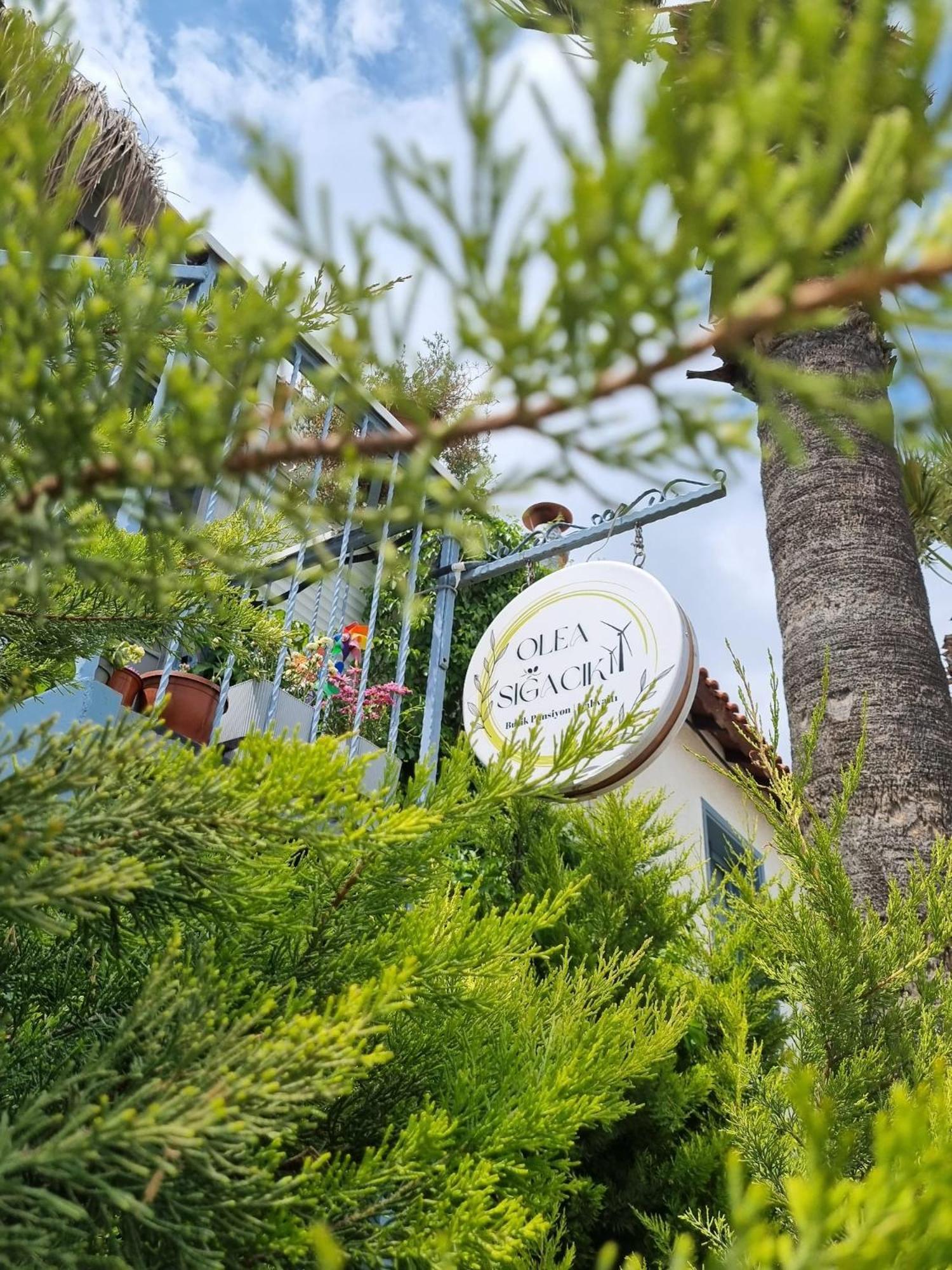 Olea Sigacik Pansiyon & Bistro 塞费里希萨尔 外观 照片